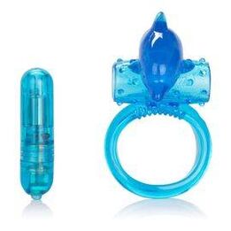 Erecting ring